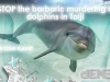 stop_killing_dolphins