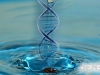 dna_water
