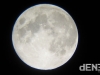 full_moon