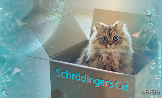 Gatto di Schrödinger - Schrödinger's Cat