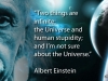 Albert Einstein: Gli Umani e l'Universo - Humans and the Universe