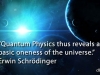 quantum physics Erwin Schrodinger