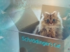 Gatto di Schrödinger - Schrödinger's Cat