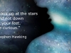 Stephen Hawking: Guardate in alto verso le stelle! - Look up at the stars!