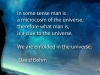 universe_bohm