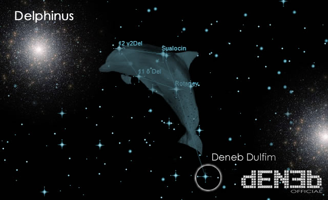  Constellation Delphinus - Un'altra Deneb: Epsilon Delphini - Another Deneb: Epsilon Delphini