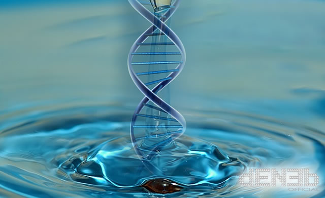 DNA & Water Memory - Il DNA e la memoria dell'acqua