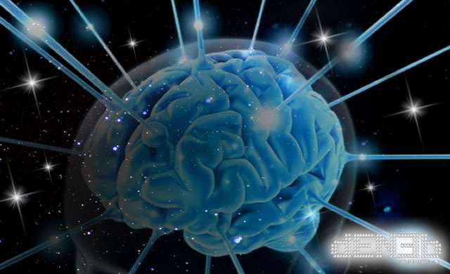 Magnetite biomineralization in the human brain - Magnetite nel cervello umano