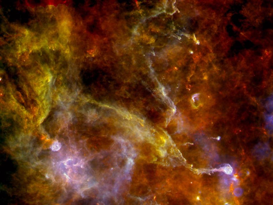 NASA: The Swan glowing in flight - Lo splendente Cigno in volo
