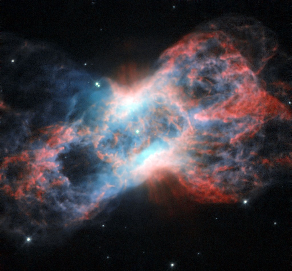 Cygnus Constellation: The Swan and the Butterfly - Costellazione del Cigno: il cigno e la farfalla