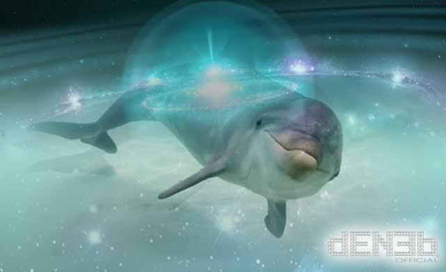 IAA - SETI - Cercando vita nell'Universo e Denise Herzing: una vita con i delfini