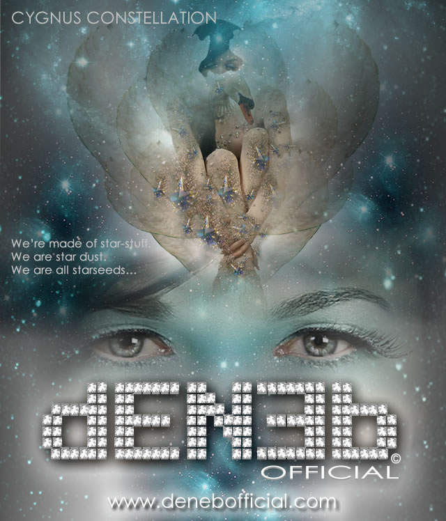 DENEB Official ©