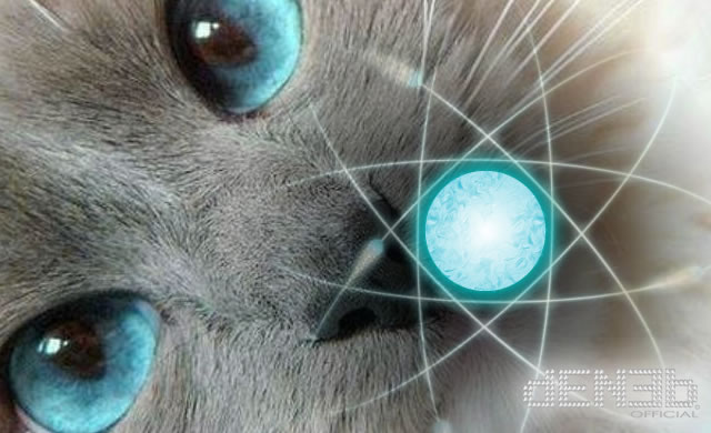 Fisica Quantistica: Il gatto di Schrödinger ha un tocco gentile - Quantum Physics: Schrödinger's Cat Has a Light Touch