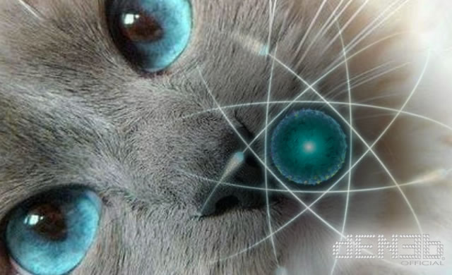 Fisica Quantistica: Il gatto di Schrödinger ha un tocco gentile - Quantum Physics: Schrödinger's Cat Has a Light Touch