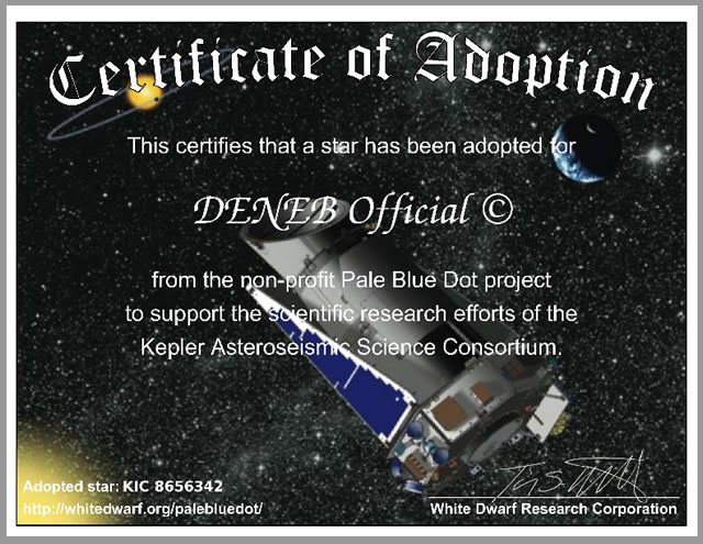 Ho adottato una piccola stella nella Costellazione del Cigno - I adopted a little Star in the Cygnus Constellation 