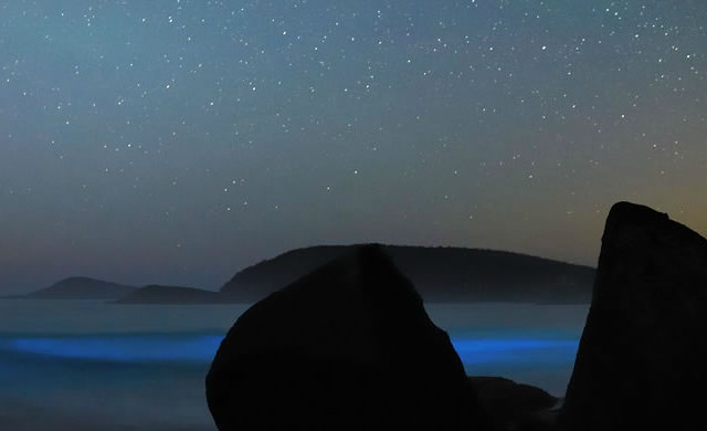 Spettacolo di luci naturali: Stelle e Bioluminescenza - Liquid Light Show