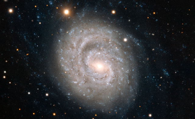 Una stupenda spirale impreziosita da una supernova che scompare - Spiral Beauty Graced by Fading Supernova