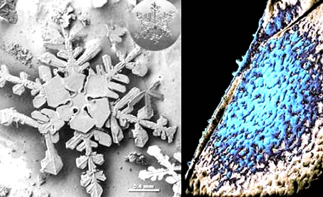 Il Laboratorio Goddard dell NASA lavora ai confini estremi del ghiaccio cosmico - NASA Goddard lab works at extreme edge of cosmic ice