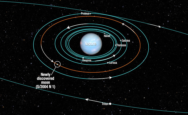 Il Telescopio Spaziale Hubble scopre una nuova luna di Nettuno - Hubble finds new Neptune moon