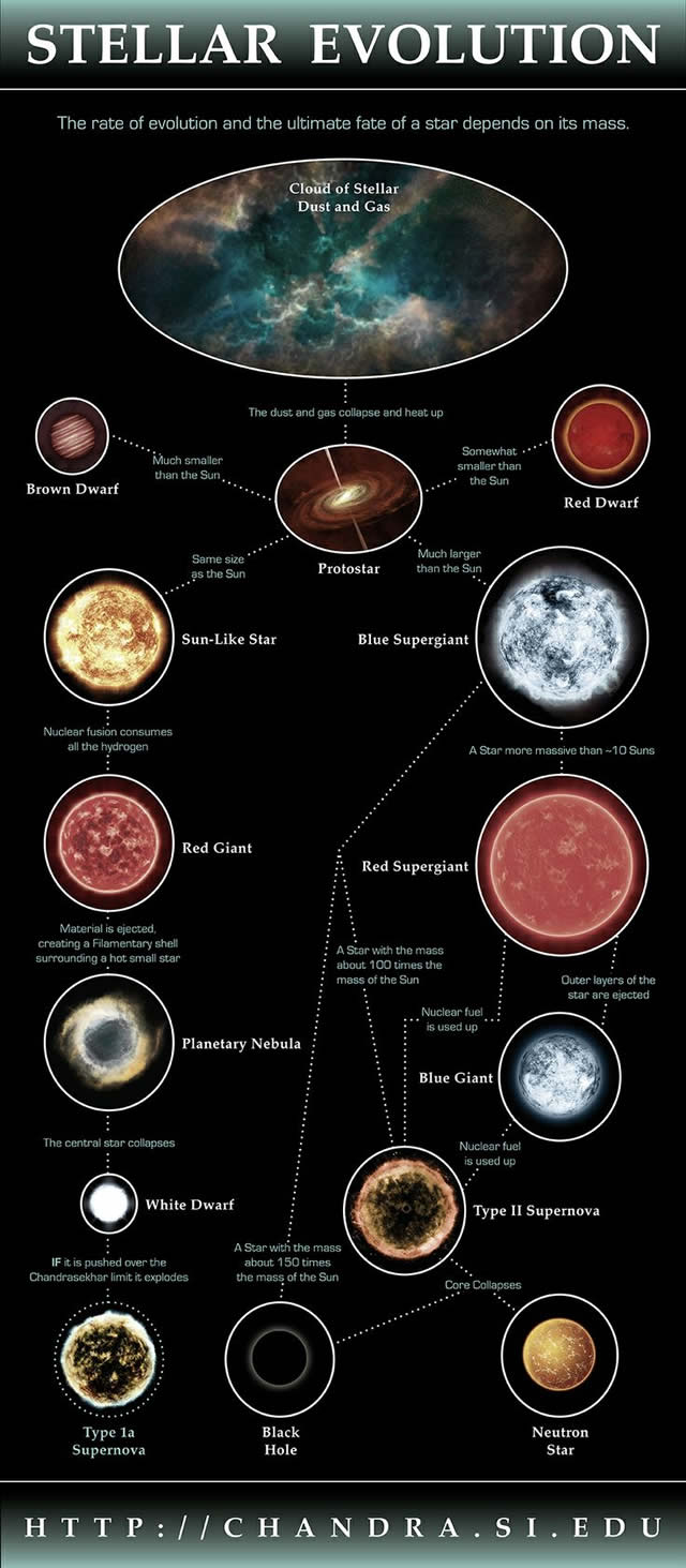 Infografica: Evoluzione Stellare - Infographic: Stellar Evolution