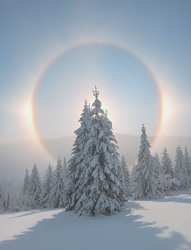 Favola d'Inverno: Alone Solare - Winter's Tale: Sun Halo