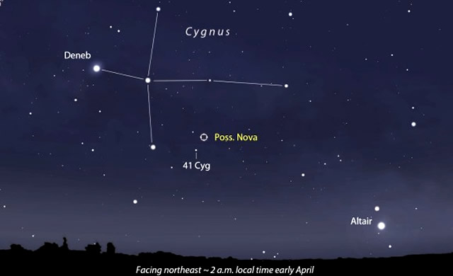 E' Nata Una Nuova Stella che Brilla Nella Costellazione del Cigno! - Possible Nova Pops in Cygnus