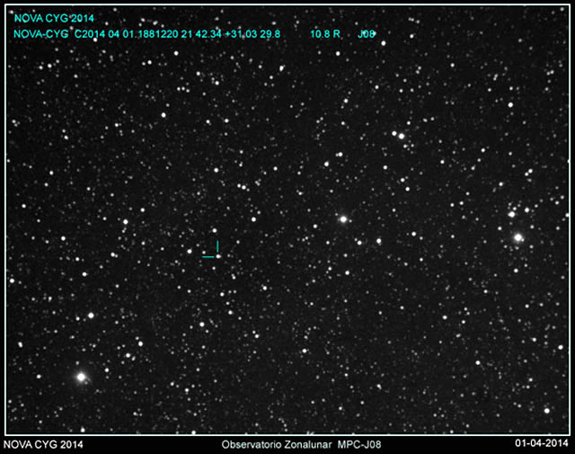 Una Nuova Stella Brilla Nella Costellazione del Cigno! - Possible Nova Pops in Cygnus!