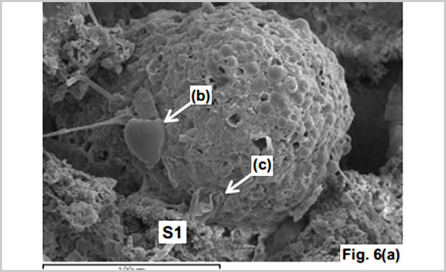 Astrobiologia - Panspermia: Antichi Fossili in Meteorite - Panspermia - Astrobiologists Find Ancient Fossils in Fireball Fragments