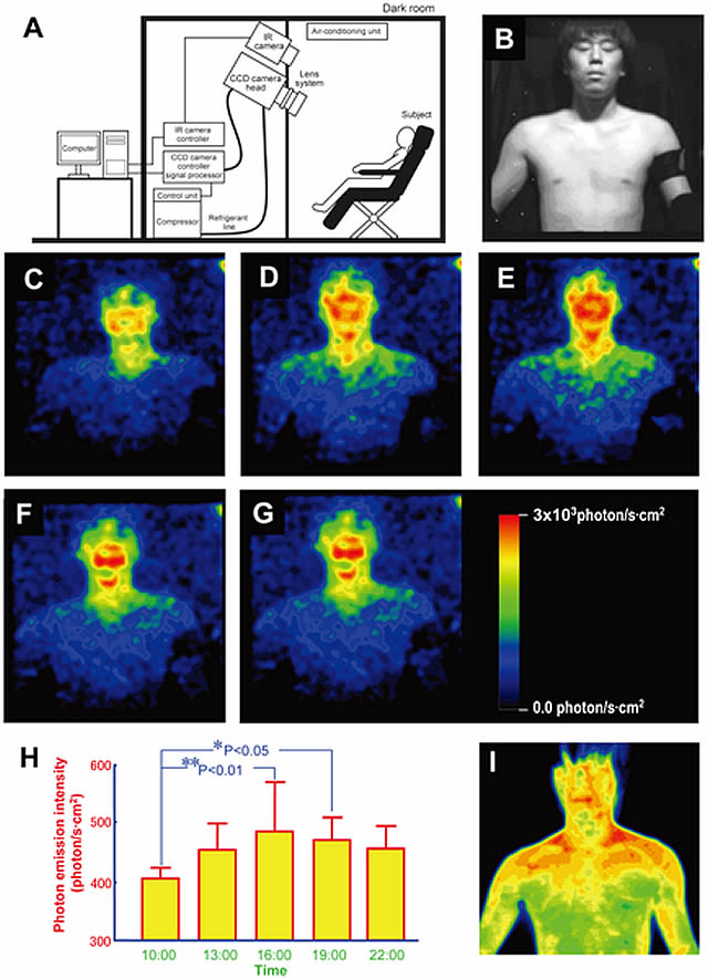 Bioluminescenza: Il Corpo Umano Brilla Letteralmente - Bioluminescence: The Human Body Literally Glimmers 