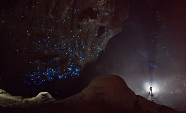 Il Cielo Stellato sotto Hollow Hill - The Starry Sky under Hollow Hill 