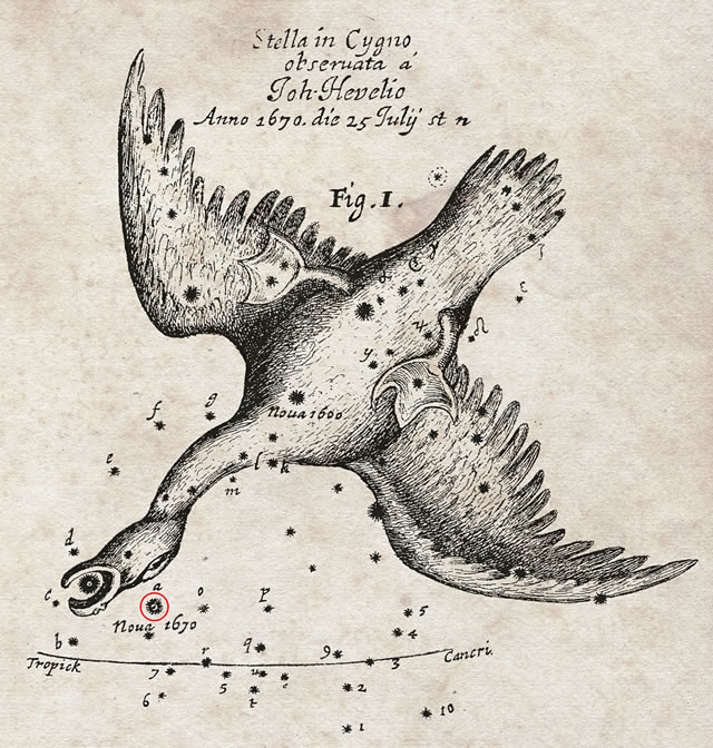 Costellazione del Cigno 1670 - Cygnus Constellation