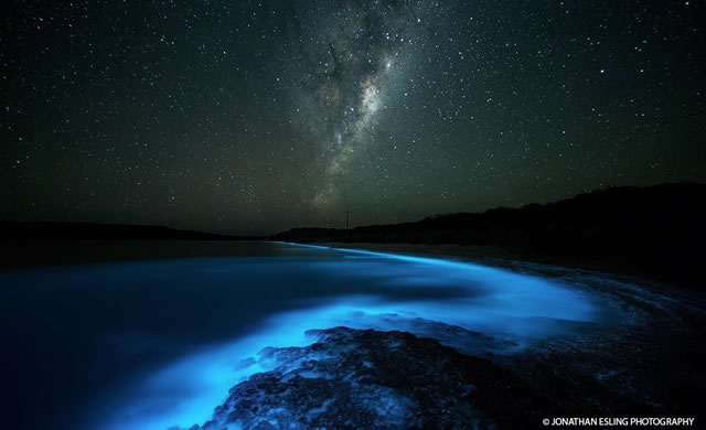 Estrema Bioluminescenza nelle acque in Tasmania - Extreme Bioluminescence In Tasmanian Waters