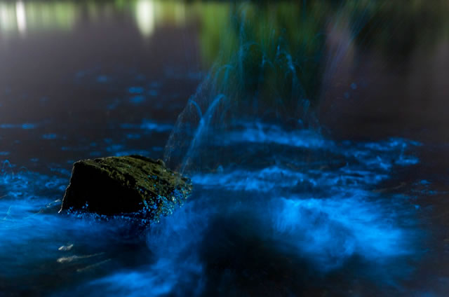 Estrema Bioluminescenza nelle acque in Tasmania - Extreme Bioluminescence In Tasmanian Waters