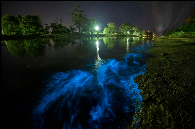 Estrema Bioluminescenza nelle acque in Tasmania - Extreme Bioluminescence In Tasmanian Waters