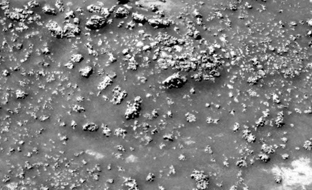 Marte, Misteriose Formazioni: Probabili Segni di Vita Microbica - Mysterious Martian "Cauliflower" May Be the Latest Hint of Alien Life 